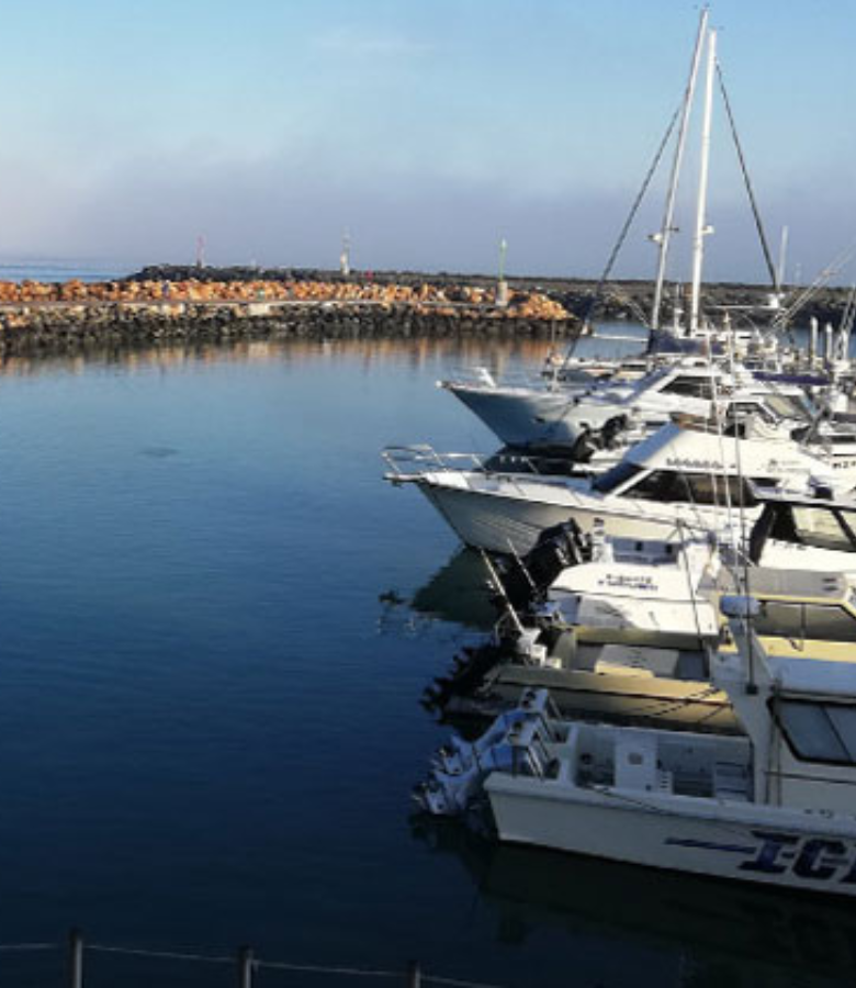Gordonsonsea_vertical_04